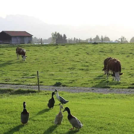 In The Vorbergblick Casa vacanze *