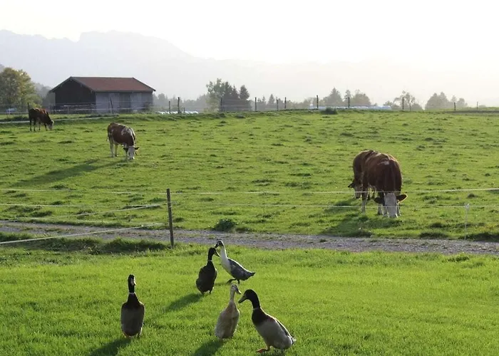 In The Vorbergblick Дом отдыха *